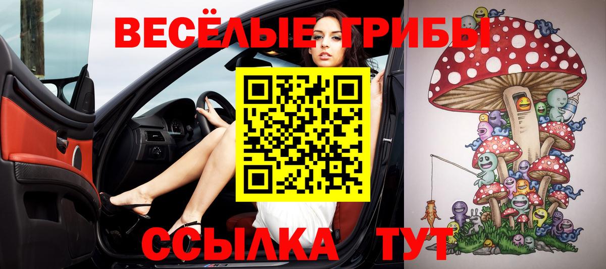 Великий Новгород  Псилоцибиновые грибы Magic Shrooms  купить   Вход с VPN  Псилоцибиновые грибы Psilocybine cubensis 