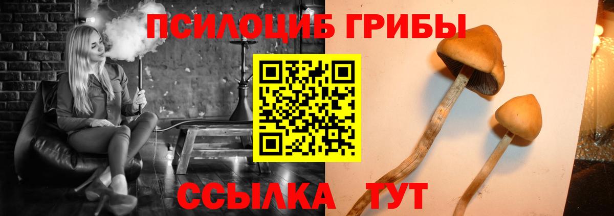 Псилоцибиновые грибы ЛСД Великий Новгород
